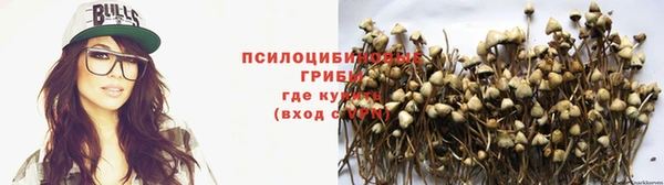 mix Богородицк