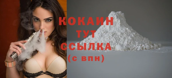mix Богородицк